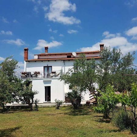 Apartment Marko Vodnjan Εξωτερικό φωτογραφία