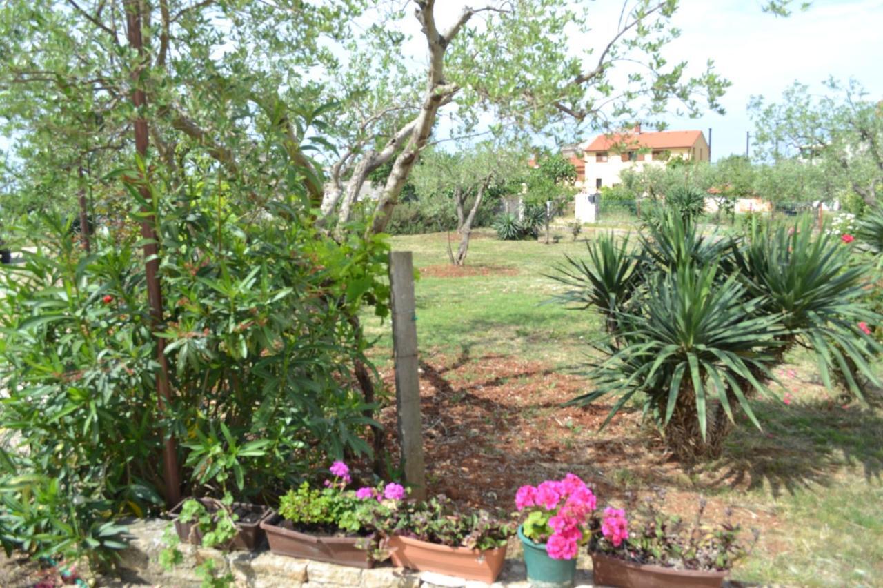 Apartment Marko Vodnjan Εξωτερικό φωτογραφία